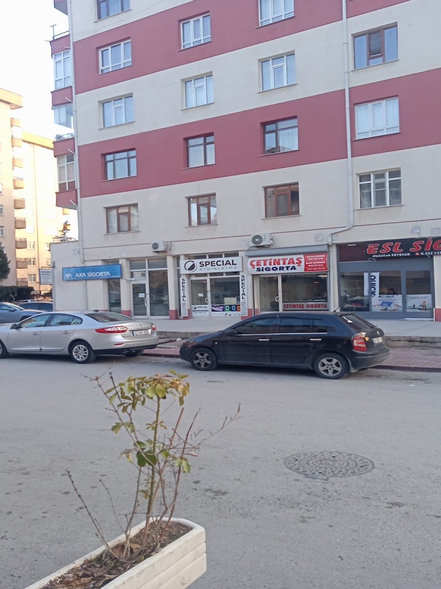 Düz Yayla Sokak'tan Special Aydınlatma – ampulcu.com Konya mağazası görünümü