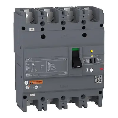 160A 36kA 4P Kaçak Akım Korumalı Termik Manyetik Kompakt ŞalterSCHNEİDER Schneider Electric