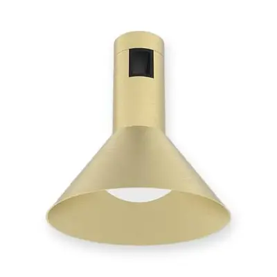 ACK 5W CCT (3 Renk) 48V Rétro Magnetik Ray Armatürü Geniş Koni (Şapka) Spot (Bakır (Copper)) AD50-04297