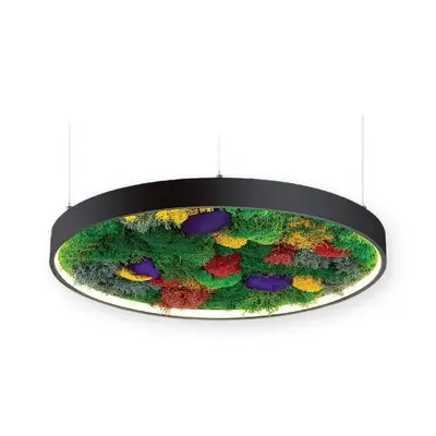 ACK 38W Yapay Yosunlu Biyofilik Dekoratif Linear Sarkıt Ø80 cm Yuvarlak Yosunlu Tavan Siyah Kasa AL02-25201