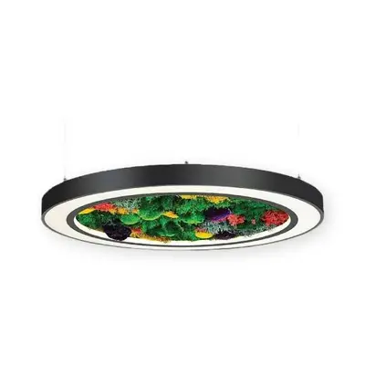 ACK 52W Yapay Yosunlu Biyofilik Dekoratif Linear Sarkıt Ø40 cm İnce Kenar Yosunlu Tavan Siyah Kasa AL02-22001